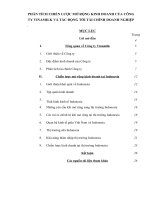 Phân tích chiến lược mở rộng kinh doanh của công ty vinamilk và tác động tới tài chính doanh nghiệp