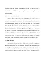 Những đặc điểm chính trong văn hóa tiêu dùng tại việt nam