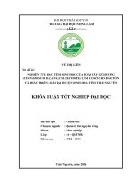 Nghiên cứu đặc tính sinh học của loài cây Gù hương (Cinnamomum balansae H. Lecomte) làm cơ sở cho bảo tồn và phát triển loài tại huyện Định Hóa  tỉnh Thái Nguyên. (Khóa luận tốt nghiệp)