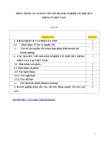 Phân tích các nguồn vốn mà doanh nghiệp có thể huy động ở việt nam 