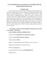 Các giải pháp nâng cao năng lực tài chính cho tập đoàn hoàng anh gia lai 