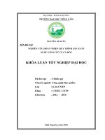 Nghiên cứu hoàn thiện quy trình sản xuất nước uống từ củ cà rốt. (Khóa luận tốt nghiệp)