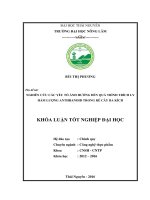 Nghiên cứu các yếu tố ảnh hưởng đến quá trình trích ly hàm lượng anthranoid trong rễ cây Ba kích. (Khóa luận tốt nghiệp)