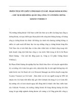 Phân tích tố chất lãnh đạo của bà  phạm minh hương – chủ tịch hội đồng quản trị, công ty cổ phần chứng khoán VNDirect 