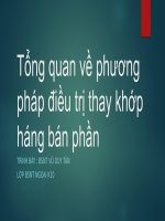 Thuyết trình chuyên đề chấn thương chỉnh hình thay khớp háng bán phần