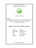 Theo dõi khả năng sản xuất và một số bệnh thường gặp của lợn nái nuôi tại trại Nguyễn Thanh Lịch xã Ba Trại – Ba Vì – Hà Nội. (Khóa luận tốt nghiệp)