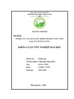 Nghiên cứu xây dựng quy trình chế biến nước uống gạo lứt bổ sung gừng. (Khóa luận tốt nghiệp)