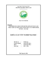 Tình hình mắc bệnh viêm đường hô hấp ở đàn lợn thịt nuôi tại trại Chăn nuôi Công ty CP Bình Minh  huyện Mỹ Đức  Hà Nội. (Khóa luận tốt nghiệp)