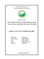 Đánh giá hiệu quả sử dụng đất nông nghiệp xã Bảo Cường  huyện Định Hóa  tỉnh Thái Nguyên. (Khóa luận tốt nghiệp)