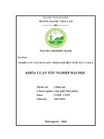 Nghiên cứu xây dựng quy trình chế biến nước ép cà chua. (Khóa luận tốt nghiệp)