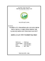 Nghiên cứu tình hình lợn con mắc bệnh phân trắng và biện pháp phòng trị bệnh tại huyện Đồng Hỷ tỉnh Thái Nguyên. (Khóa luận tốt nghiệp)