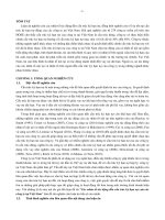 Các nhân tố tác động đến cấu trúc kỳ hạn nợ của công ty tại việt nam (tt) 