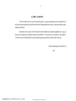 Một số ứng dụng của phương pháp thác triển theo tham số để giải phương trình toán tử