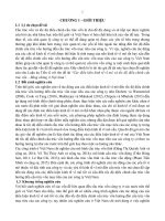 Các điều kiện kinh tế vĩ mô và tốc độ điều chỉnh cấu trúc vốn – bằng chứng ở việt nam  (tt) 