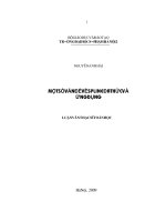 Một số vấn đề về Spline đa thức và ứng dụng