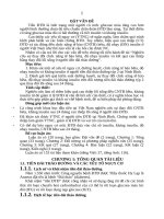 Nghiên cứu sự thay đổi chức năng tế bào bêta, độ nhạy insulin và kết quả can thiệp bằng thay đổi lối sống ở người tiền đái tháo đường tt 