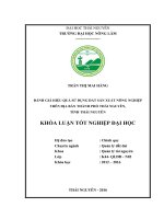 Đánh giá hiệu quả sử dụng đất sản xuất nông nghiệp trên địa bàn thành phố Thái Nguyên  tỉnh Thái Nguyên. (Khóa luận tốt nghiệp)