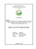 Đánh giá ảnh hưởng của đô thị hóa nông thôn đến sử dụng đất nông nghiệp tại huyện Lục Ngạn  tỉnh Bắc Giang, giai đoạn 2011  2015. (Khóa luận tốt nghiệp)