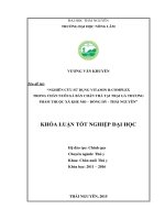 Nghiên cứu sử dụng Vitamin BComplex trong chăn nuôi gà bán chăn thả tại trại gà thương phẩm thuộc xã Khe Mo  huyện Đồng Hỷ  tỉnh Thái Nguyên. (Khóa luận tốt nghiệp)