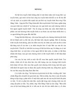 tiểu luận TRUYỀN THÔNG đại CHÚNG THẾ GIỚI HIỆN đại tiểu luận cao học - Thực trạng của vấn đề xã hội hóa truyền hình ở Việt Nam hiện nay