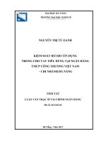 Kiểm soát rủi ro tín dụng trong cho vay tiêu dùng tại ngân hàng TMCP công thương việt nam   chi nhánh đà nẵng (tt) 