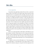 Tiểu luận cao học môn báo mạng điện tử