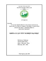 Tỷ lệ mắc bệnh viêm tử cung ở đàn lợn nái tại trại lợn của công ty TNHH Lý Yên Bình  xã Đoàn Kết  huyện Yên Thủy  tỉnh Hoà Bình và biện pháp trị bệnh. (Khóa luận tốt nghiệp)