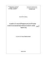 Nghiên cứu một số phương pháp tổng hợp Corticosteroid từ Androstendion và hợp chất tương tự