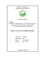 Tình hình mắc bệnh viêm tử cung ở đàn lợn nái ngoại nuôi tại trại Đặng Đình Dũng  tỉnh Hòa Bình và thử nghiệm một số phác đồ điều trị.