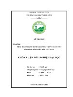 Phát hiện nhanh bệnh Greening trên cây có múi ở một số tỉnh phía Bắc Việt Nam. (Khóa luận tốt nghiệp)