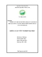 Nghiên cứu một số chỉ tiêu sinh sản và đánh giá hiệu quả dùng vaccine trong phòng bệnh cho gà Cáy Củm sinh sản. (Khóa luận tốt nghiệp)