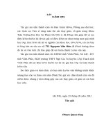 Cấu trúc (DN) và (DNφ) của đối ngẫu của không gian mầm các hàm chỉnh hình