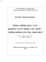 Tính chính quy của không gian mầm các hàm chỉnh hình giá trị Frechet