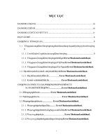 Đánh giá xung đột môi trường trong sử dụng đất tại tỉnh Đắk Lắk  Luận văn ThS. Kỹ thuật hóa học, vật liệu, luyện kim và môi trường