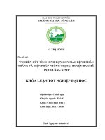 Nghiên cứu tình hình lợn con mắc bệnh phân trắng và biện pháp phòng trị tại huyện Ba Chẽ  tỉnh Quảng Ninh. (Khóa luận tốt nghiệp)