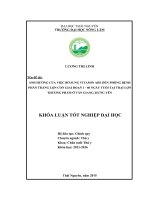 Ảnh hưởng của việc bổ sung Vitamin ADE đến phòng bệnh phân trắng lợn con giai đoạn 1  60 ngày tuổi tại trại lợn thương phẩm ở Văn Giang  Hưng Yên. (Khóa luận tốt nghiệp)