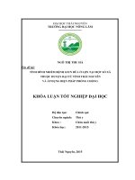 Tình hình nhiễm bệnh giun đũa ở lợn tại một số xã thuộc huyện Đại Từ  tỉnh Thái Nguyên và áp dụng biện pháp phòng chống. (Khóa luận tốt nghiệp)