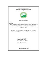 Tình hình mắc bệnh viêm vú ở lợn nái tại trang trại Nguyễn Văn Chiêm, xã Đạo Tú  huyện Tam Dương  tỉnh Vĩnh Phúc. (Khóa luận tốt nghiệp)