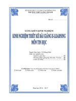 SKKN Một số kinh nghiệm thiết kế bài giảng eLearning môn Tin học