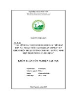 Tình hình mắc một số bệnh sinh sản trên đàn lợn nái ngoại nuôi tại Trại lợn công ty cổ phần Khai thác khoáng sản Thiên Thuận Tường  Cẩm Phả  Quảng Ninh, biện pháp phòng và trị bệnh. (Khóa luận tốt nghiệp)