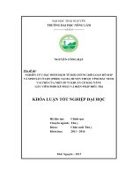 Nghiên cứu đặc điểm dịch tễ hội chứng rối loạn hô hấp và sinh sản ở lợn (PRRS) tại ba huyện thuộc tỉnh Bắc Ninh, vai trò của một số vi khuẩn có khả năng gây viêm phổi kế phát và biện pháp điều trị.