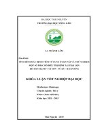 Tình hình mắc bệnh viêm tử cung ở lợn nái và thử nghiệm một số phác đồ điều trị bệnh tại trại lợn Bùi Huy Hạnh, xã Tái Sơn  huyện Tứ Kỳ  tỉnh Hải Dương. (Khóa luận tốt nghiệp)