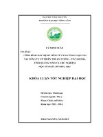 Tình hình mắc bệnh viêm tử cung trên đàn lợn nái của trại lợn công ty CP Thiên Thuận Tường – TP.Cẩm Phả  Quảng Ninh và thử nghiệm một số phác đồ điều trị bệnh. (Khóa luận tốt nghiệp)