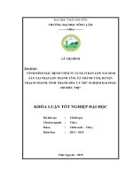 Tình hình mắc bệnh viêm tử cung ở đàn lợn nái sinh sản nuôi tại Trại lợn Thanh Tâm, xã Thành Tâm  huyện Thạch Thành  tỉnh Thanh Hóa và thử nghiệm hai phác đồ điều trị. (Khóa luận tốt nghiệp)