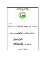 Đánh giá tình hình mắc bệnh viêm tử cung ở đàn lợn nái ngoại sinh sản và thử nghiệm một số phác đồ điều trị tại trại Bùi Huy Hạnh, xã Tái Sơn  huyện Tứ Kỳ  tỉnh Hải Dương. (Khóa luận tốt nghiệp)