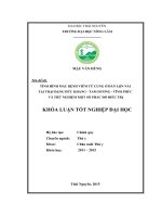 Tình hình mắc bệnh viêm tử cung ở đàn lợn nái nuôi tại trại Đặng Đức Khang  Hướng Đạo  Tam Dương  Vĩnh Phúc và thử nghiệm một số phác đồ điều trị. (Khóa luận tốt nghiệp)