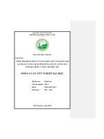 Theo dõi bệnh viêm tử cung ở đàn lợn nái ngoại nuôi tại trại của ông Đặng Đình Dũng  Huyện Lương Sơn Tỉnh Hòa Bình và phác đồ điều trị. (Khóa luận tốt nghiệp)