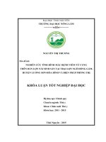 Nghiên cứu tình hình mắc bệnh viêm tử cung trên đàn lợn nái sinh sản tại trại lợn Ngô Hồng Gấm - huyện Lương Sơn - Hòa Bình và biện pháp phòng trị. (Khóa luận tốt nghiệp)