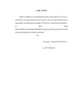 Đảng bộ huyện Kim Động lãnh đạo nhân dân thực hiện công nghiệp hóa, hiện đại hóa 1996 đến năm 2005