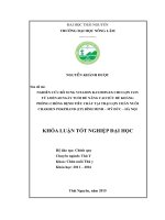 Nghiên cứu bổ sung vitamin B complex cho lợn con từ 6 đến 60 ngày tuổi để nâng cao sức đề kháng phòng chống bệnh tiêu chảy tai trại lợn chăn nuôi Charoen Pokphand (CP) Bình Minh – Mỹ Đức – Hà Nội. (Khóa luận tốt nghiệp)